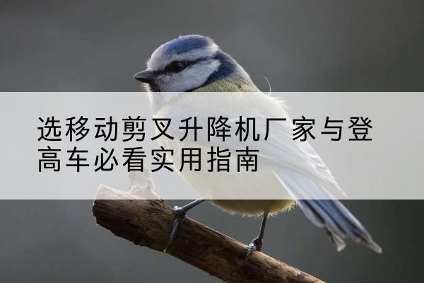 绥滨电动升降机厂家-选移动剪叉升降机厂家与登高车必看实用指南