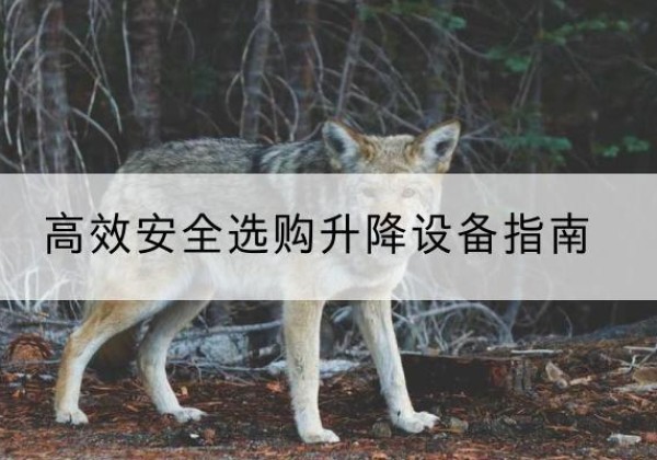 绥滨升降货梯厂家推荐-*安全选购升降设备指南