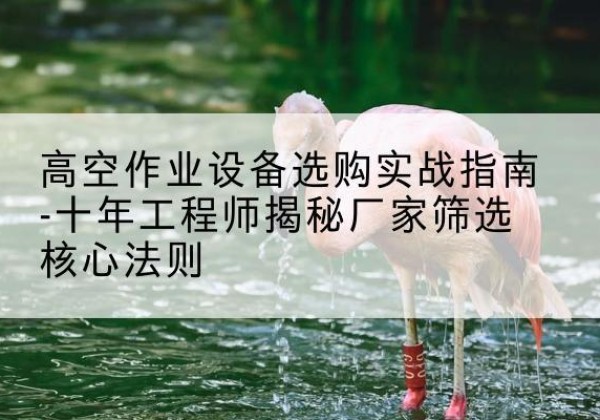 绥滨剪叉式升降机厂家-高空作业设备选购实战指南-十年工程师揭秘厂家筛选核心法则