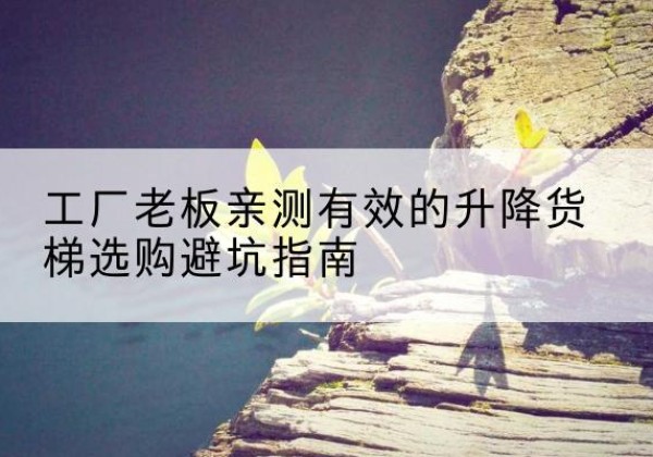 绥滨升降货梯怎么选-工厂老板亲测有效的升降货梯选购避坑指南